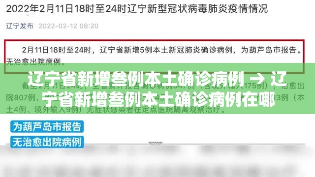 辽宁省新增叁例本土确诊病例 → 辽宁省新增叁例本土确诊病例在哪 辽宁省新增叁例本土确诊病例 → 辽宁省新增叁例本土确诊病例在哪