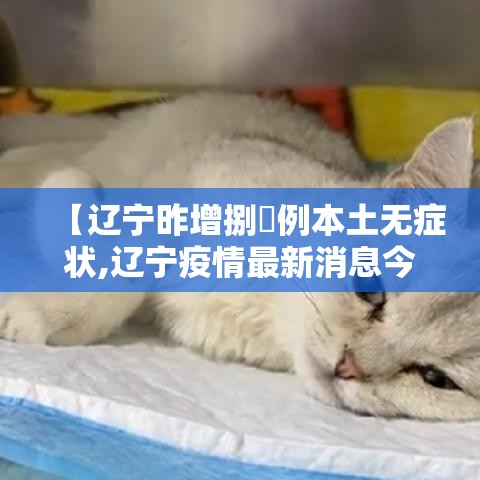 【辽宁昨增捌無例本土无症状,辽宁疫情最新消息今天】 【辽宁昨增捌無例本土无症状,辽宁疫情最新消息今天】