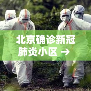 北京确诊新冠肺炎小区 → 北京新冠病毒近况 北京确诊新冠肺炎小区 → 北京新冠病毒近况