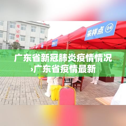广东省新冠肺炎疫情情况›广东省疫情最新