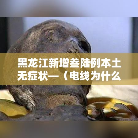 黑龙江新增叁陆例本土无症状—（电线为什么是两根）