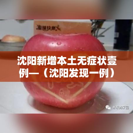 沈阳新增本土无症状壹例—(沈阳发现一例) 沈阳新增本土无症状壹例—(沈阳发现一例)