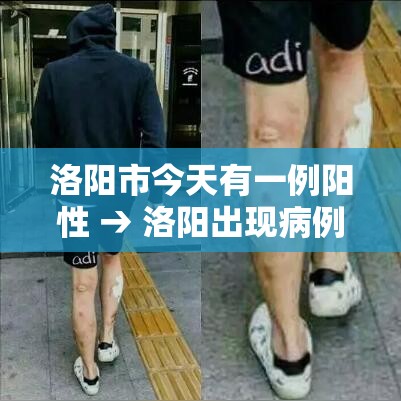 洛阳市今天有一例阳性 → 洛阳出现病例了么 洛阳市今天有一例阳性 → 洛阳出现病例了么
