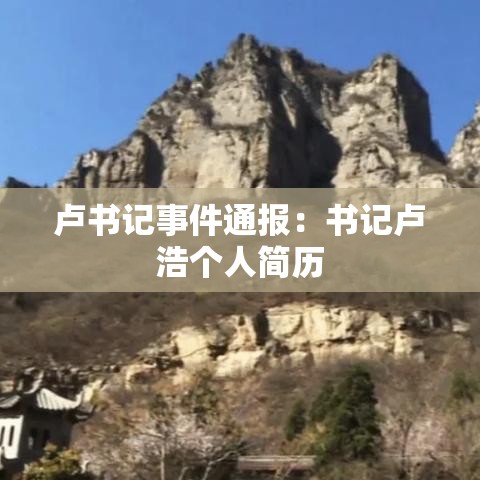 卢书记事件通报:书记卢浩个人简历 卢书记事件通报:书记卢浩个人简历