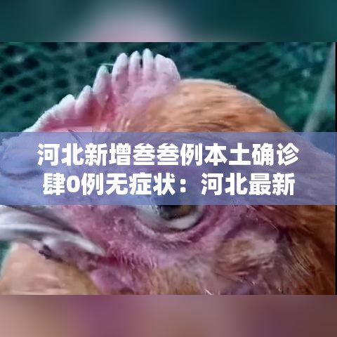 河北新增叁叁例本土确诊肆0例无症状:河北最新病情 河北新增叁叁例本土确诊肆0例无症状:河北最新病情
