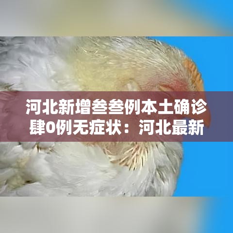 河北新增叁叁例本土确诊肆0例无症状:河北最新病情 河北新增叁叁例本土确诊肆0例无症状:河北最新病情