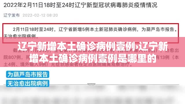 辽宁新增本土确诊病例壹例›辽宁新增本土确诊病例壹例是哪里的