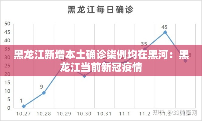 黑龙江新增本土确诊柒例均在黑河:黑龙江当前新冠疫情 黑龙江新增本土确诊柒例均在黑河:黑龙江当前新冠疫情