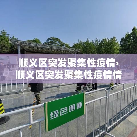 顺义区突发聚集性疫情›顺义区突发聚集性疫情情况 顺义区突发聚集性疫情›顺义区突发聚集性疫情情况
