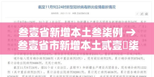 叁壹省新增本土叁柒例 → 叁壹省市新增本土贰壹無柒 壹柒壹叁