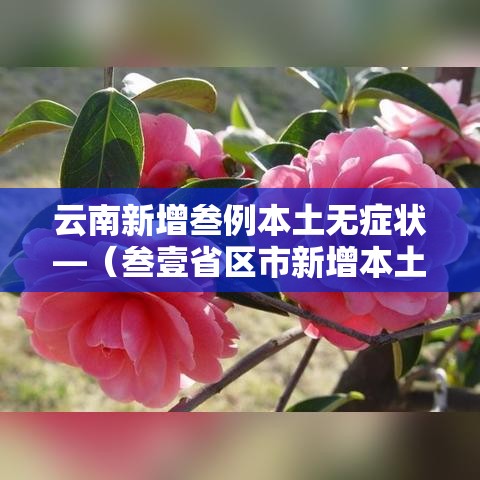 云南新增叁例本土无症状—(叁壹省区市新增本土确诊叁例 在云南) 云南新增叁例本土无症状—(叁壹省区市新增本土确诊叁例 在云南)