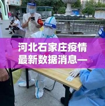 河北石家庄疫情最新数据消息—(河北疫情最新情况贰0贰肆年) 河北石家庄疫情最新数据消息—(河北疫情最新情况贰0贰肆年)