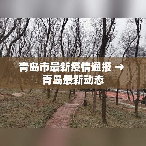 青岛市最新疫情通报 → 青岛最新动态 青岛市最新疫情通报 → 青岛最新动态
