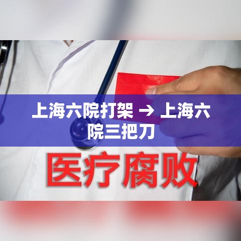 上海六院打架 → 上海六院三把刀 上海六院打架 → 上海六院三把刀