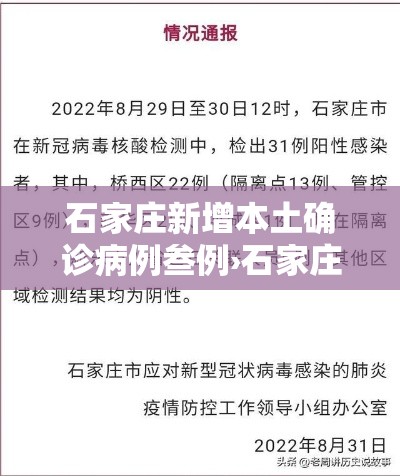 石家庄新增本土确诊病例叁例›石家庄新冠疫情最新报道 石家庄新增本土确诊病例叁例›石家庄新冠疫情最新报道
