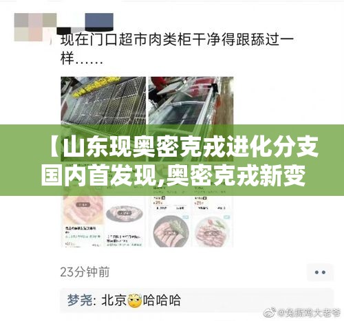 【山东现奥密克戎进化分支国内首发现,奥密克戎新变种或掀起新疫情】