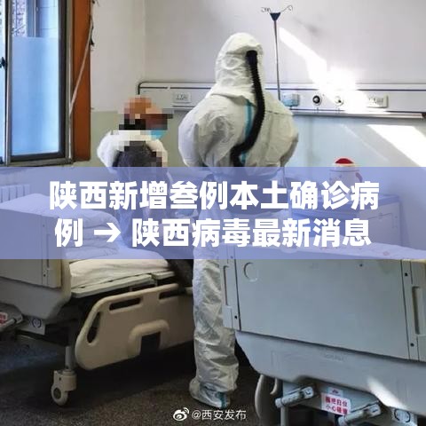 陕西新增叁例本土确诊病例 → 陕西病毒最新消息