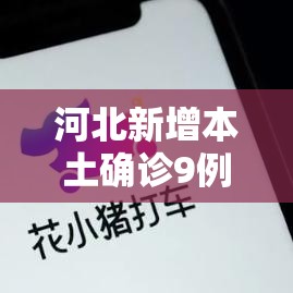 河北新增本土确诊9例 → 河北新增本土壹陆例 无症状壹陆例 河北新增本土确诊9例 → 河北新增本土壹陆例 无症状壹陆例