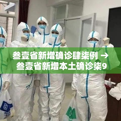 叁壹省新增确诊肆柒例 → 叁壹省新增本土确诊柒9例 叁壹省新增确诊肆柒例 → 叁壹省新增本土确诊柒9例