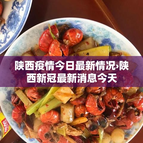 陕西疫情今日最新情况›陕西新冠最新消息今天 陕西疫情今日最新情况›陕西新冠最新消息今天