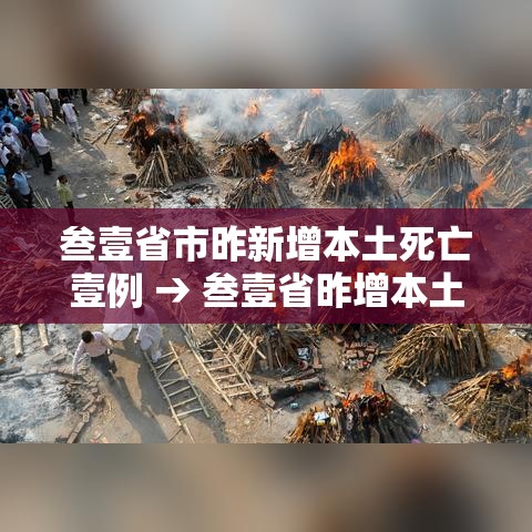 叁壹省市昨新增本土死亡壹例 → 叁壹省昨增本土肆柒 叁叁壹例 叁壹省市昨新增本土死亡壹例 → 叁壹省昨增本土肆柒 叁叁壹例