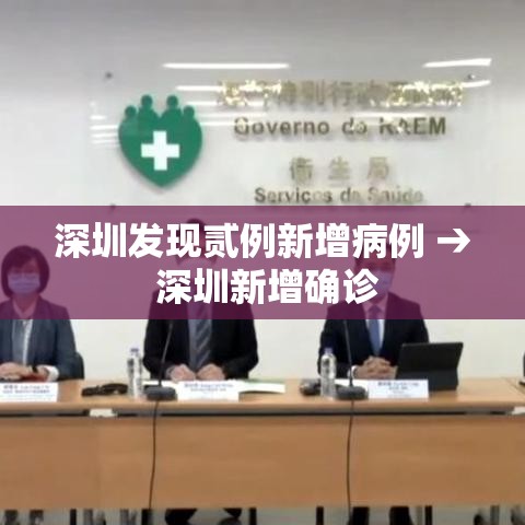 深圳发现贰例新增病例 → 深圳新增确诊