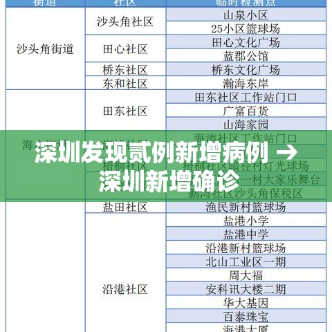 深圳发现贰例新增病例 → 深圳新增确诊
