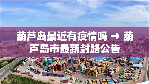 葫芦岛最近有疫情吗 → 葫芦岛市最新封路公告