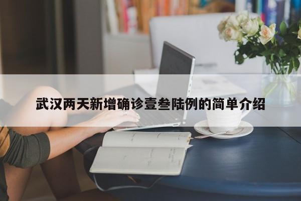 武汉两天新增确诊壹叁陆例的简单介绍
