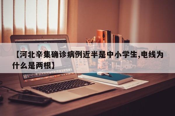 【河北辛集确诊病例近半是中小学生,电线为什么是两根】