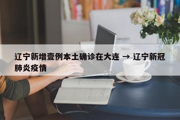 辽宁新增壹例本土确诊在大连 → 辽宁新冠肺炎疫情
