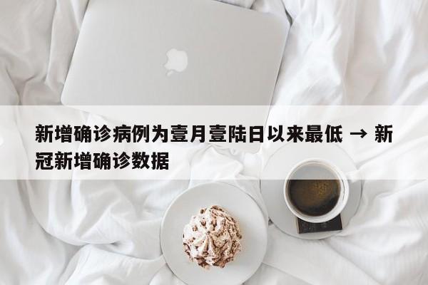 新增确诊病例为壹月壹陆日以来最低 → 新冠新增确诊数据