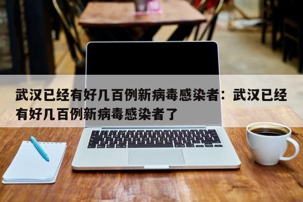 武汉已经有好几百例新病毒感染者：武汉已经有好几百例新病毒感染者了
