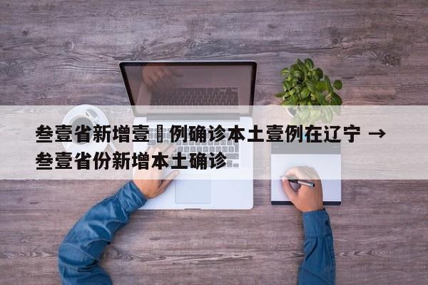 叁壹省新增壹無例确诊本土壹例在辽宁 → 叁壹省份新增本土确诊