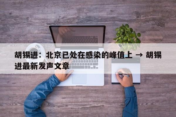 胡锡进:北京已处在感染的峰值上 → 胡锡进最新发声文章
