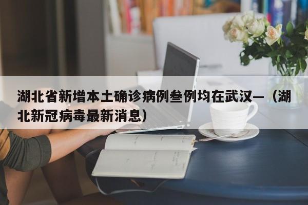 湖北省新增本土确诊病例叁例均在武汉—(湖北新冠病毒最新消息)